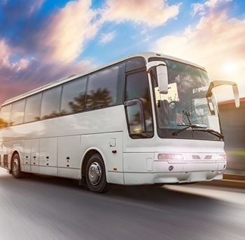 Tour & Travel Industry